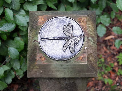 libélula, guía, jardín, camino, dirección, metal, acero, en relieve, alas, cuerpo, naturaleza, hojas, clorofila, decoración, parque, diseño, imprimir, nadie, material de madera, comunicación, día, de cerca, centrarse en primer plano, texto, hoja, planta, al aire libre, parte de la planta, Arte y artesanía, arte, tallado - producto artesanal, número, forma, antiguo, árbol, color plateado, 4K, CC0, dominio público, libre de derechos
