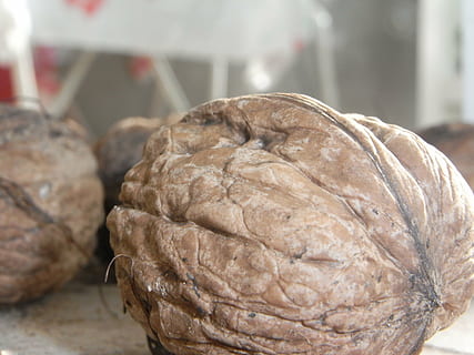 walnut, nut, snack, ingredient, organic, nutrition, nutshell, food, food and drink, freshness, close-up, still life, focus on foreground, indoors, healthy eating, bread, table, wellbeing, no people, baked, loaf of bread, brown, nut - food, store, day, dieting, french food, 2K, CC0, public domain, royalty free