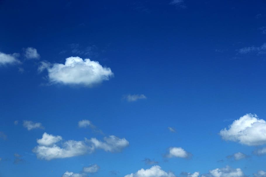 mraky, floppy clouds, zatažená obloha, modrá obloha, Příroda, nebe, zataženo, tapeta na zeď, Pozadí, temné mraky, modrý, počasí, den, venku, mrak - nebe, letní, vzduch, kupovitý mrak, scéna s oblaky, bílý, atmosféra, bílá barva, vítr, životní prostředí, scenics - příroda, načechraný, krása v přírodě, meteorologie, nikdo, zatažený, slunečního světla, jemný, Jasný, čistý, 1080P