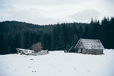 cabin, forest, snow, trees, winter, woods, cold temperature, scenics - nature, tree, environment, house, beauty in nature, tranquil scene, architecture, nature, mountain, built structure, tranquility, land, plant, landscape, building, hut, cottage, no people, pine tree, chalet, coniferous tree, snowing, pine woodland, 5K