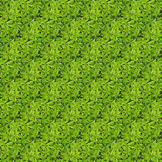 texture, seamless, plants, pattern, green color, full frame, backgrounds, plant, growth, no people, day, beauty in nature, field, foliage, lush foliage, nature, grass, high angle view, outdoors, land, abundance, tranquility, textured, freshness, 5K, CC0, public domain, royalty free