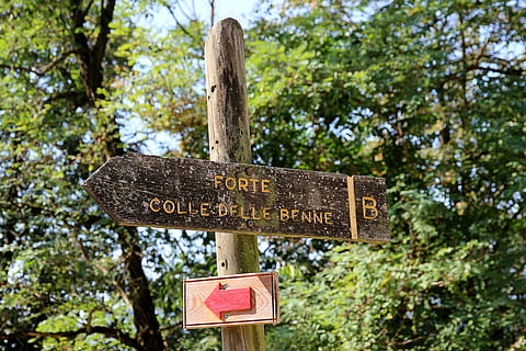 director, scut, direcţie, signposts, Notă, semne, eticheta, marcare, săgeată, lemn, loc de război, fortăreață, razboi mondial, copac, text, plantă, comunicare, semn, îndrumare, lemn - material, western script, să se concentreze asupra primelor elemente, zi, nici o persoana, simbol, vedere unghiulară joasă, în aer liber, arrow simbol, natură, semn de informație, semn de direcție, informație, indicator, mesaj, 4K, CC0, domeniu public, fără drepturi de autor