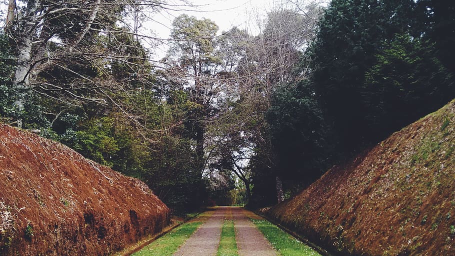 manera, Camí, calçada, verd, herba, parc, net, arbres, contaminar, barranc, artificial, concret, parets, vegetació, lliscament, carretera, carril, arbre, planta, el camí a seguir, direcció, perspectiva decreixent, creixement, naturalesa, cap gent, terra, bellesa a la natura, tranquil·litat, bosc, escena tranquil·la, dia, escena no urbana, sendera, escenics - natura, punt de fuga, color verd, a l'aire lliure, llarg, treelined, 2K