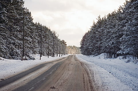 vintervej, landskab, sne, vinter, natur, koldtemperatur, træ, vej, Skov, landlige scene, udendørs, scenics, ingen mennesker, ikke-urbane scene, is, sæson, vejr, Frosset, frost, kold temperatur, plante, himmel, transportmidler, faldende perspektiv, scenics - natur, vejen frem, retning, skønhed i naturen, sky - himmel, jord, rolig scene, treelined, nåletræ, fyrreskov, 4K, CC0, offentligt domæne, royaltyfrie