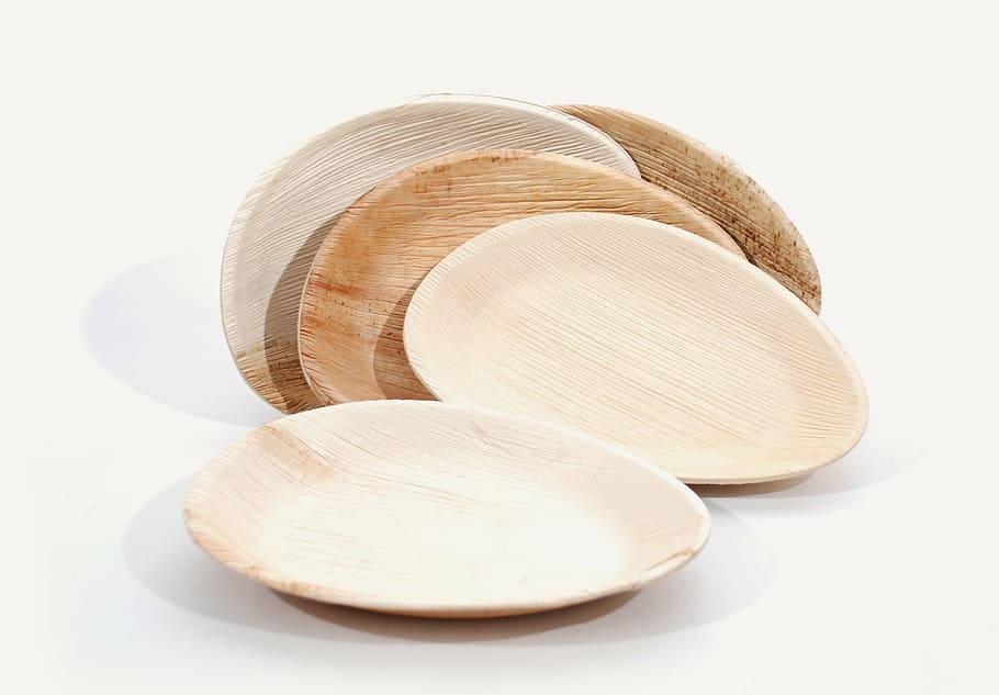 kolo, desky, palmový list, materiál, nádobí, dřevěný, dřevo - materiál, jeden objekt, kuchyňské nádobí, hnědý, bílé pozadí, studio shot, vystříhnout, uvnitř, detail, bílá barva, stálý život, nikdo, shell, tvar, průřezu, zvířecí shell, Příroda, texturou, jednoduchost, vzor, péče o tělo, kopie prostor, 2K