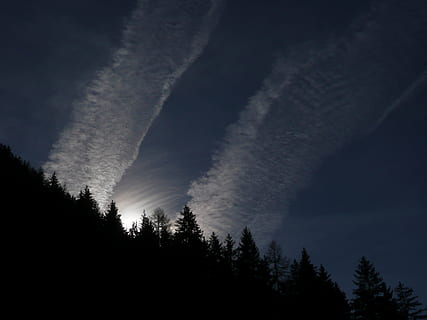 debesis, saulė, dangus, oras, kontrailė, cirrus, cirrus debesys, siluetas, miškas, pobūdį, nuotaika, spinduliai, romantiškas, šviečia, medis, grožis gamtoje, augalų, vaizdai - gamta, ramybė, nėra žmonių, žemas kampo vaizdas, ramioje scenoje, augimą, ne miesto scenoje, naktis, debesis - dangus, žemės, lauke, spygliuočių medis, 2K, CC0, Viešasis domenas, nemokamai