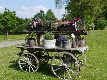 tør, blomster, Seefeld, blomst, utendørs, gammel, gress, grønn farge, tre, dag, anlegg, blomstrende plante, natur, vekst, skjønnhet i naturen, potteplante, ingen folk, parkere, park - mann gjort plass, kurven, friskhet, felt, transport, skjørhet, hjul, blomsterpotte, hagearbeid, 4K, CC0, offentlig domene, opphavsrett gratis