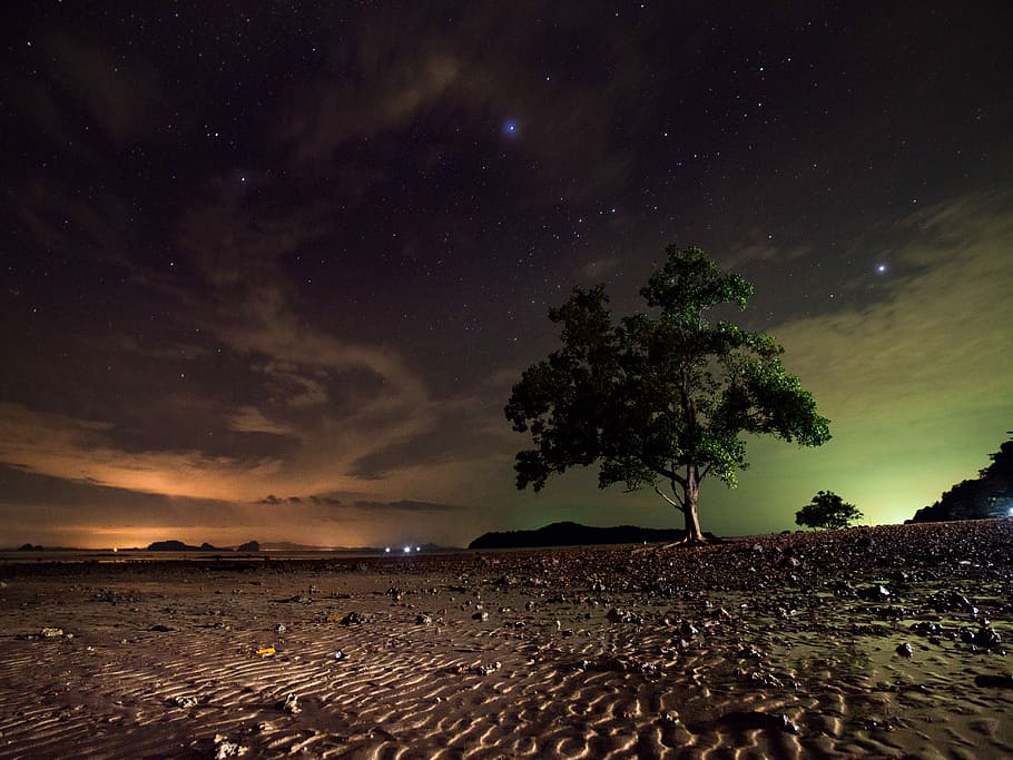 verde, copac, noaptea, leafed, seara noapte, noapte, ASTRO, stea, singuratic, întuneric, spaţiu, galaxie, în aer liber, înstelat, cer de noapte, timp de noapte, nisip, plajă, ușoară, Tailanda, cer, stea - spațiu, scenice - natura, frumusețe în natură, liniște, teren, natură, mediu inconjurator, o scenă liniștită, plantă, astronomie, nici o persoana, nor - cer, idilic, peisaj, apă, expunere lungă, spațiu și astronomie, 5K