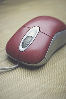 fokus zdjęcie, czerwony, mysz, komputer, wkład, urządzenie, sprzęt komputerowy, pc, Informacja, Kliknij, networking, kliknięcie myszką, kalkulator, sieć światowa, Informatyka, Internet, porozumiewanie się, mysz komputerowa, technologia, sprzęt, wewnątrz, żadnych ludzi, stół, technologia bezprzewodowa, zbliżenie, wyposażenie komputera, martwa natura, połączenie, wysoki kąt widzenia, człowiek zrobiony, obiekt stworzony przez człowieka, część komputerowa, drewno - materiał, pojedynczy obiekt, skupić się na pierwszym planie, telefon komórkowy, akcesoria osobiste, 2K, CC0, domena publiczna, darmowe zdjęcia