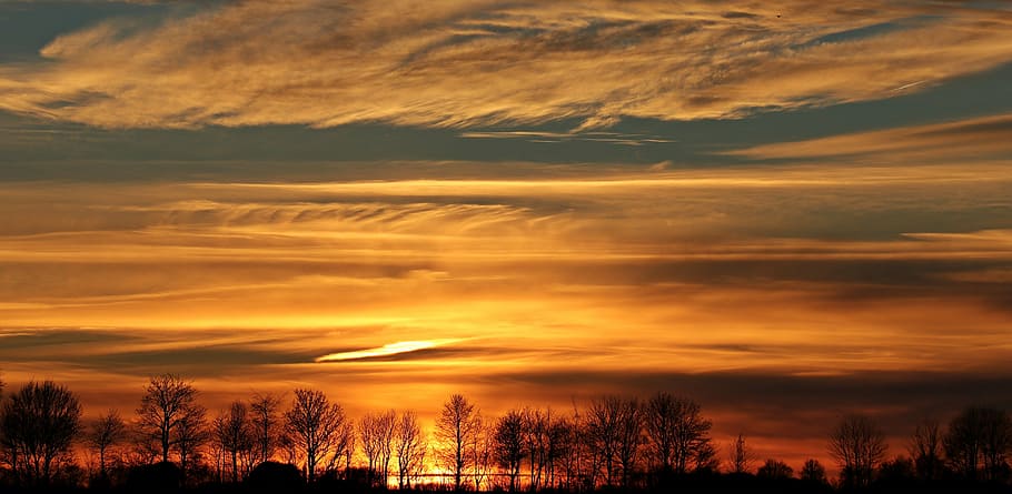guldfarvet himmel, gylden, time, solnedgang, sol, aftenhimmel, skyer, Abendstimmung, panorama, himmel, efterglød, træer, romantik, humør, sollys, romantisk, vinter sol, vinter, aften timer, aften, skumring, fjern, atmosfærisk, horisont, atmosfære, landskab, natur, tusmørke, rød, stadig, orange, silhuet, scenics, skønhed i naturen, ro, rolig scene, ingen mennesker, sky - himmel, scenics - natur, orange farve, træ, dramatisk himmel, ærefrygt, miljø, idyllisk, plante, cloudscape, mørk, udendørs, romantisk himmel, meteorologi, 5K