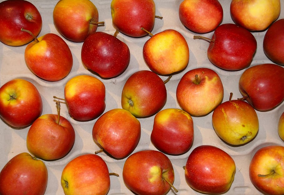 Apfel, Obst, Glücksfall, Ernte, gesund, bio, fruchtig, frisch, Na sicher, rot, Ernährung, reif, Lebensmittel, Landwirtschaft, füllen, lecker, Süss, quantitativ, köstlich, Vitamine, Essen und Trinken, in einer Reihe, gesundes Essen, große gruppe von gegenständen, Frische, Wohlbefinden, Vollbild, Apfel - Frucht, keine Leute, Hintergründe, Nahansicht, Stillleben, drinnen, Anordnung, direkt darüber, Seite an Seite, Wiederholung, 4K