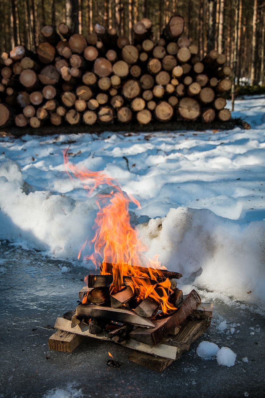 Lagerfeuer, Feuer, Winter, Schnee, Natur, Holzstapel, Camping, Baum, Brenngeschwindigkeit, Rahmen, Tourenschalter, Kochen, Hitze, Frost, Feuer - natürliches Phänomen, Hitze - Temperatur, Flamme, Verbrennung, Holz - Material, Log, Brennholz, Holz, Bauholz, Bewegung, keine Leute, Stapel, Rauch - physische Struktur, Tag, draußen, Land, 4K