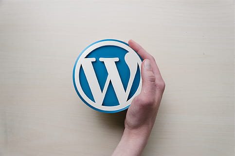 white, blue, westinghouse case, wordpress, hand, logo, background image, blogging, symbol, icon, design, human Hand, sign, one person, human body part, holding, business, communication, finance, close-up, indoors, men, single object, shape, adult, pie chart, studio shot, economy, human limb, finger, 1080P, CC0, public domain, royalty free