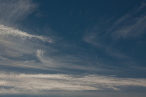 cirri, nuvole, blu, cielo, nube, chiaro, soleggiato, bellissimo, cirro, federwolke, mattina, cristalli di ghiaccio fini, fibra sottile, fibratus, fondo, sfondo, natura, tempo metereologico, nuvola - cielo, Cloudscape, all'aperto, sfondi, nuvoloso, giorno, aria, Paesaggi, bellezza nella natura, scenics - natura, Inquadratura dal basso, la tranquillità, nessuno, scena tranquilla, idilliaco, fotogramma intero, ambiente, Colore bianco, scena non urbana, wispy, meteorologia, 4K, CC0, dominio pubblico, privo di copyright