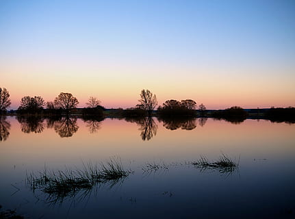 calma, lago, d'oro, ora, sera, albero, silhouette, sfondo, atmosfera, umore, luci, romantico, crepuscolo, ora blu, acqua, tramonto, cielo, riflessione, la tranquillità, bellezza nella natura, scenics - natura, scena tranquilla, pianta, natura, nessuno, idilliaco, copia spazio, scena non urbana, lungomare, acqua stagnante, all'aperto, lago di riflessione, 2K, CC0, dominio pubblico, privo di copyright