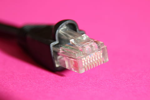 pc, Stecker, Verbindung, periphere, Netzwerk, Hardware-, edp, Verbindungskabel, Computer, Computerzubehör, Datenkabel, Technologie, Makro, Nahansicht, Netzwerkkabel, pinke Farbe, Studioaufnahme, farbiger Hintergrund, drinnen, keine Leute, einzelnes Objekt, rot, rosa Hintergrund, Liebe, Stillleben, öffnen, Container, kopieren sie platz, Computernetzwerk, Essen und Trinken, zwei Objekte, Emotion, Valentinstag - Urlaub, 5K, CC0, gemeinfrei, lizenzfrei