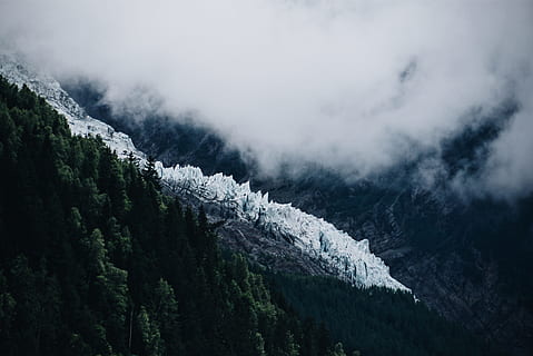 foto, montagna, verde, albero, giorno, la neve, coperto, nebbia densa, nebbia, natura, paesaggio, Paesaggi, foresta, all'aperto, inverno, catena montuosa, picco di montagna, nessuno, cielo, nuvola - cielo, bellezza nella natura, scenics - natura, ambiente, pianta, la tranquillità, scena tranquilla, temperatura fredda, terra, scena non urbana, albero di conifere, Pino, bosco di pini, 5K, CC0, dominio pubblico, privo di copyright