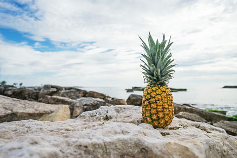 ananas, piatră, corp, apă, ananas pe stâncă, stâncă, cer, ocean, nor, fruct, plajă, mare, insulă, de aur, tropical, nor - cer, obiect de rocă, mancare si bautura, fruct tropical, natură, nici o persoana, solid, alimente, zi, mâncat sănătos, prospeţime, frumusețe în natură, în aer liber, teren, bunăstare, 5K, CC0, domeniu public, fără drepturi de autor