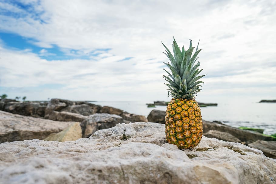 ananas, piatră, corp, apă, ananas pe stâncă, stâncă, cer, ocean, nor, fruct, plajă, mare, insulă, de aur, tropical, nor - cer, obiect de rocă, mancare si bautura, fruct tropical, natură, nici o persoana, solid, alimente, zi, mâncat sănătos, prospeţime, frumusețe în natură, în aer liber, teren, bunăstare, 5K