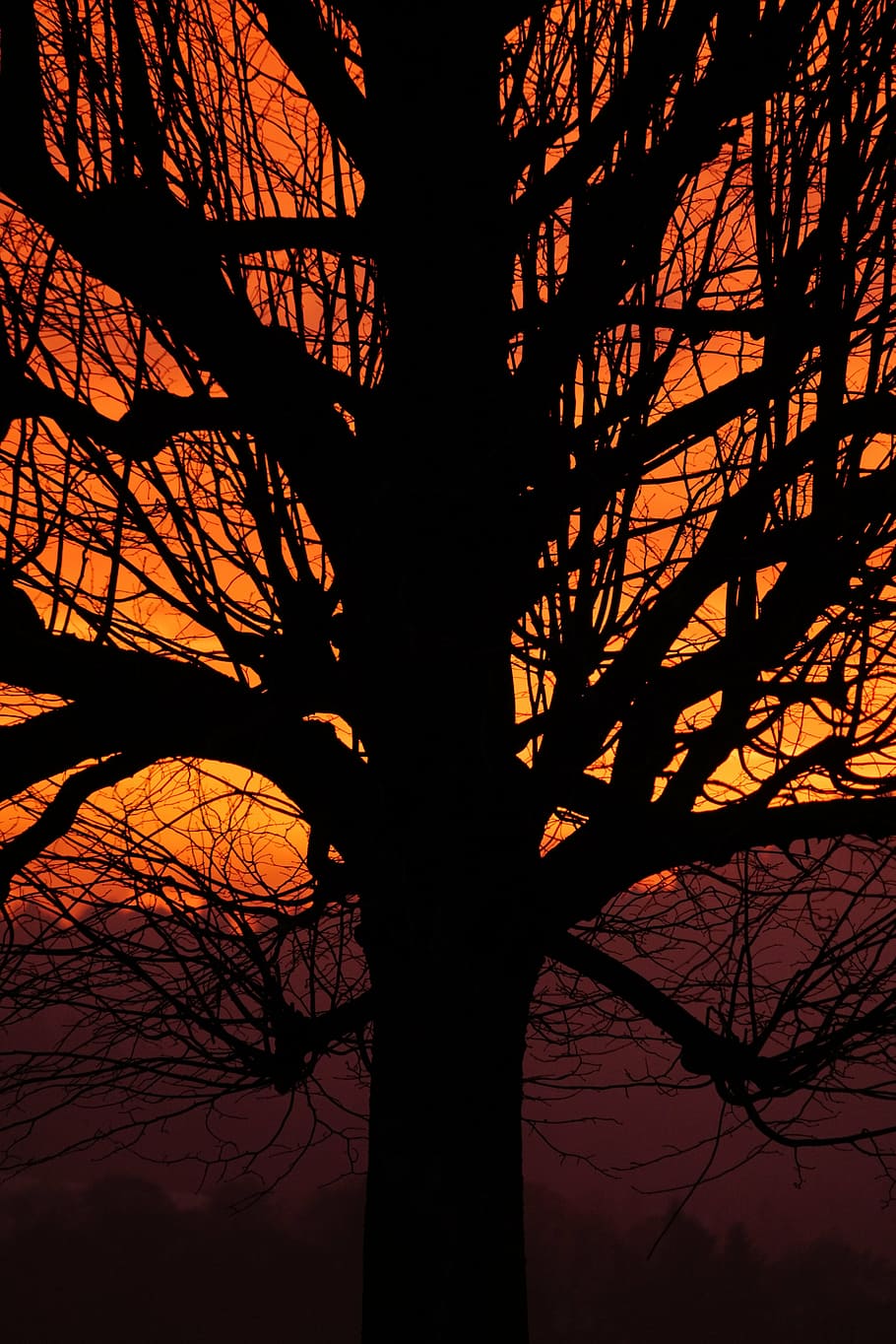 kmen, log, poboček, západ slunce, strom, estetický, osamělý strom, nebe, abendstimmung, večerní obloze, ohnivý, Červené, žlutá, oranžový, světlo, zadní světlo, mraky, zamračená obloha, mrak záře, jediné postavení, jednotlivě, izolovaný, řeřavý, burstweid, wyssachen, švýcarsko, jeden strom, kmen stromu, silueta, holý strom, Příroda, scén, větev, rostlinné části, nikdo, rostlina, kufr, krása v přírodě, scenics - příroda, oranžová barva, klid, nízký úhel pohledu, venku, mimoměstské scény, soumrak, přistát, 8K