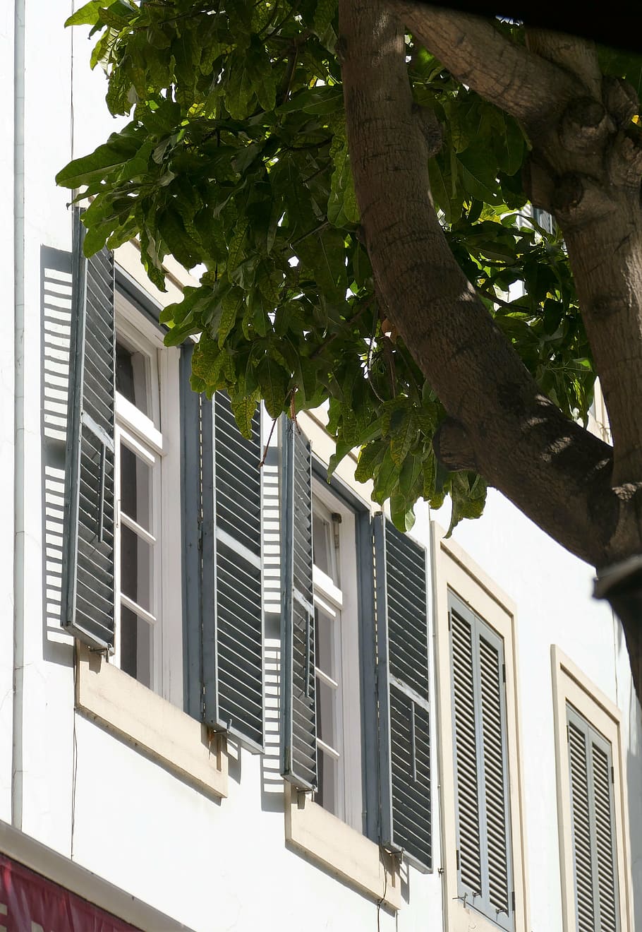 vindue, sol, skodder, hvid, syd, varm, skygge, lys, bygget struktur, bygning udvendig, arkitektur, bygning, plante, træ, dag, natur, ingen mennesker, hus, udendørs, boligområde, lav vinkel visning, træstamme, bagagerum, sollys, vækst, moderne, afdeling, luksus, 4K
