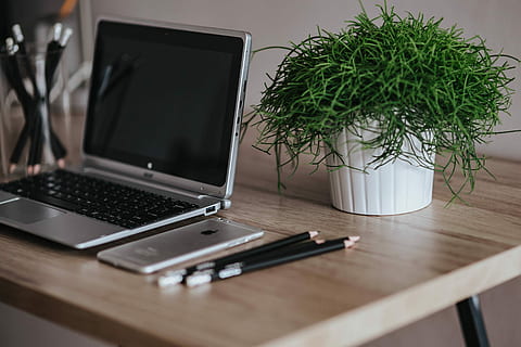 silver acer laptop, wooden, desk, green, plant, pencils, Silver, Acer, laptop, green plant, Apple iPhone, workplace, computer, notebook, office, technology, business, indoors, table, no People, computer Keyboard, equipment, wireless technology, home interior, communication, potted plant, connection, furniture, nature, wood - material, houseplant, computer equipment, keyboard, 2K