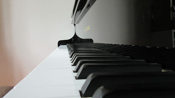 superficial, focalizare fotografie, negru, alb, vertical, pian, atenție superficială, fotografie, alb-negru, pian vertical, chei, închide, reflecţie, oglindire, pian tastatură, instrument muzical, clape de pian, lucios, neted, instrument de tastatură, muzică, fundal, pian cheie, arta culturii și divertismentului, în interior, echipament muzical, nici o persoana, selectiv, consecutiv, absență, pian mare, a închide, tastatură, culoare neagră, culoare alba, zi, diminuarea perspectivei, scaun, 4K, CC0, domeniu public, fără drepturi de autor