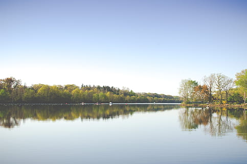 sø, træer, dag, landskabsfoto, Skov, krop af vand, treere, dagtimerne, træ, afspejling, vand, landskab, natur, udendørs, himmel, scenics, rolig scene, blå, sommer, ingen mennesker, skønhed i naturen, flod, farvebillede, ikke-urbane scene, Dam, landskaber, sollys, grøn farve, skyfri himmel, ro, scenics - natur, plante, kopiere plads, havnefronten, idyllisk, 4K, CC0, offentligt domæne, royaltyfrie