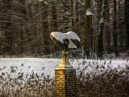 socha, zimní, zahrada, pták, sníh, strom, Příroda, rostlina, studená teplota, nikdo, zastoupení, přistát, sochařství, voda, umění a řemesla, den, lidské zastoupení, holý strom, les, klid, jezero, venku, 720P, CC0, veřejná doména, bez autorských práv