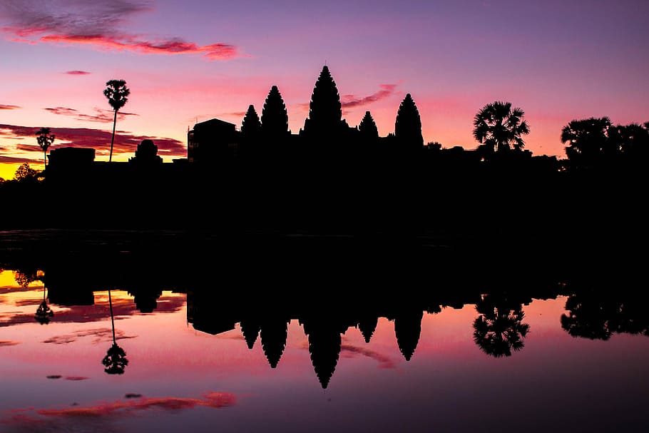 silueta, arbres, edificis, reflexiu, fotografia, nit, reflexió, mirall, temple, sortida del sol, cel, cel rosa, porpra, Angkor Wat, cambodium, aigua, llac, posta de sol, arquitectura, naturalesa, arbre, destinacions de viatge, estructura construïda, exterior de l'edifici, tranquil·litat, cap gent, edifici, planta, escena tranquil·la, simetria, bellesa a la natura, a l'aire lliure, llac de reflexió, 5K