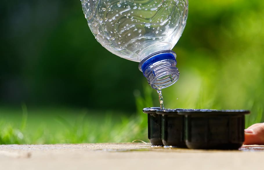 acqua, getto, flacone di flusso, nave, giocare, trasferimento, tazza, verde, divertimento, bambino, acqua corrente, estate, bambini, natura, pianta, avvicinamento, movimento, messa a fuoco selettiva, attrezzature domestiche, giorno, all'aperto, vetro - materiale, rinfresco, colore verde, erba, concentrarsi sulle conoscenze acquisite, nessuno, ambiente, combustibile e produzione di energia, albero, contenitore, bicchiere, 5K