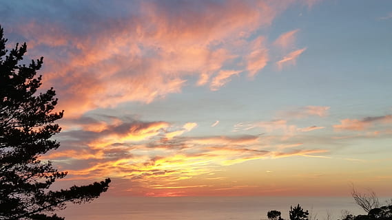 matahari terbenam, samudra, malam, awan, langit, keemasan, kuning, cahaya, musim panas, matahari terbit, matahari, laut, pantai, tempat kejadian, pemandangan, alam, air, Fajar, horison, keindahan di alam, awan - langit, pohon, scenics - alam, ketenangan, menanam, adegan yang tenang, bayangan hitam, warna oranye, idilis, tidak ada orang, langit yang dramatis, di luar rumah, adegan non-urban, tampilan sudut rendah, senja, cloudscape, pohon jenis konifera, langit romantis, 2K, CC0, domain publik, bebas royalti