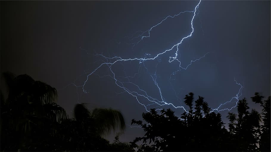 foto, il·luminació, nit, llamps, silueta, arbres, cel, fosc, poder a la natura, tempesta, llamps bifurcats, perill, arbre, temps, poder, bellesa a la natura, núvol - cel, senyal d'advertència, naturalesa, planta, cap gent, signe, comunicació, vista d’angle baix, a l'aire lliure, electricitat, ominós, meteorologia, 2K