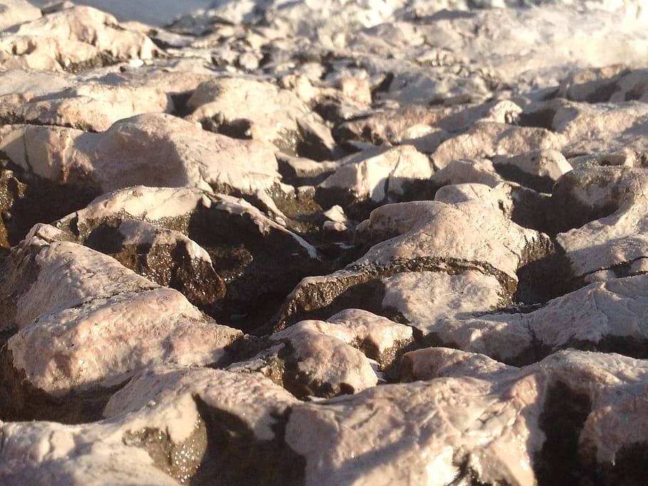 roques, sassi, aigua, platja, llum solar, marc complet, fons, textura, naturalesa, dia, cap gent, rock, sòlid, rock - object, primer pla, patró, vista d’angle alt, a l'aire lliure, terra, aspre, bellesa a la natura, enfocament selectiu, pedra - objecte, tranquil·litat, còdols, clima àrid, 2K