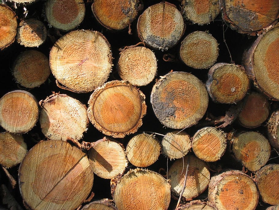 Baumstumpf, Borke, Wald, Baum, Holz, Natur, Log, abgesägt, Baumrinde, Jahresringe, Struktur, sah, Forstwirtschaft, Baumgitter, Stamm, Bauholz, Brennholz, Holzindustrie, Holz - Material, Vollbild, Stapel, Hintergründe, große gruppe von gegenständen, Abholzung, Kraftstoff- und Stromerzeugung, Fülle, gestalten, Haufen, Muster, Umweltprobleme, fossiler Brennstoff, keine Leute, Holzstapel, draußen, Holzmaserung, 1080P