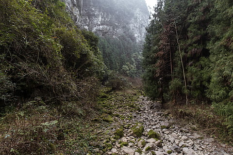 Bergpfad, umgeben, Bäume, Landschaftsfotografie, Berg, bestehen, Wald, Baum, Pfad, Rock, trocken, Pflanze, Land, Ruhe, Szenen - Natur, Schönheit in der Natur, Wachstum, ruhige Szene, Nicht-städtische Szene, Natur, Fernbedienung, Tag, keine Leute, Umgebung, Richtung, der Weg nach vorn, grüne Farbe, Fußweg, draußen, fließendes Wasser, fließend, 5K, CC0, gemeinfrei, lizenzfrei