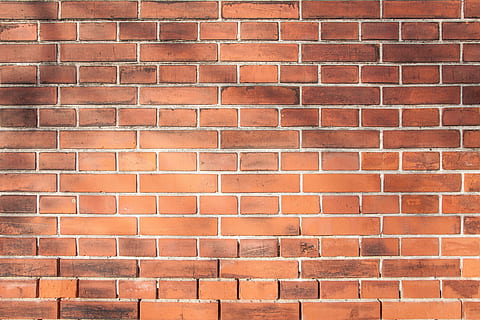 paret de maó, paret, maó, dur, marró, bricked, vermell, fons, ombra, branques, funció de construcció de parets, marc complet, en fila, estructura construïda, arquitectura, patró, cap gent, textura, repetició, exterior de l'edifici, dia, a l'aire lliure, forma, forma geomètrica, 4K, CC0, domini públic, lliure de regalies