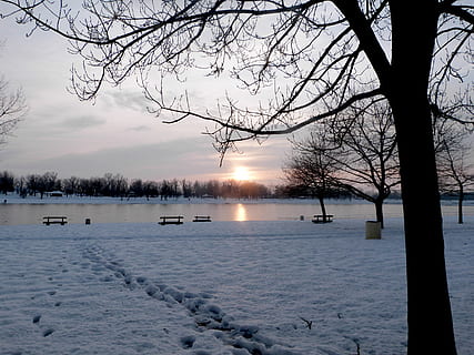 iarnă, lac, apus de soare, peisaj, rece, sezon, în aer liber, scenă, îngheţat, reflecţie, liniştit, îngheţ, rural, calm, mediu inconjurator, orizont, magie, acoperit cu zăpadă, vreme, înghețat, ze, geros, viscol, căderile de zăpadă, puritate, mediu rural, țara minunilor, Nord, copac, cer, temperatura rece, apă, zăpadă, frumusețe în natură, scenice - natura, arbore gol, o scenă liniștită, liniște, natură, plantă, nici o persoana, idilic, gheaţă, 2K, CC0, domeniu public, fără drepturi de autor