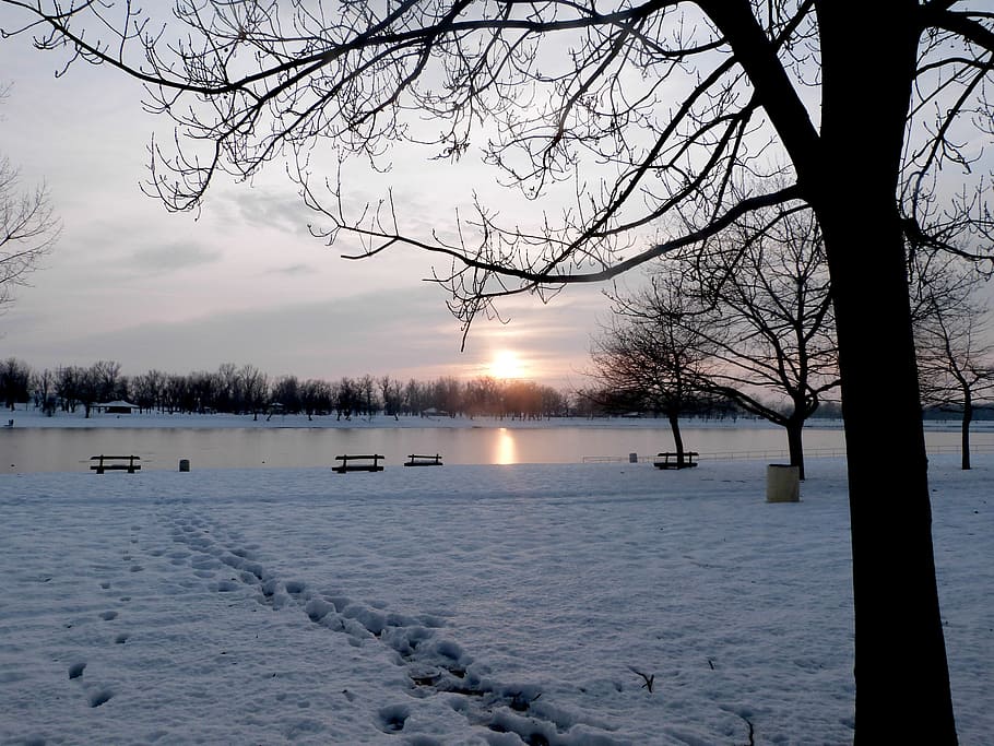 iarnă, lac, apus de soare, peisaj, rece, sezon, în aer liber, scenă, îngheţat, reflecţie, liniştit, îngheţ, rural, calm, mediu inconjurator, orizont, magie, acoperit cu zăpadă, vreme, înghețat, ze, geros, viscol, căderile de zăpadă, puritate, mediu rural, țara minunilor, Nord, copac, cer, temperatura rece, apă, zăpadă, frumusețe în natură, scenice - natura, arbore gol, o scenă liniștită, liniște, natură, plantă, nici o persoana, idilic, gheaţă, 2K