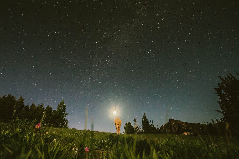 hav af stjerner, grønt om natten, grøn, nattetid, natur, stjerne - rum, nat, astronomi, landskab, himmel, galakse, udendørs, Skov, scenics, mørk, Mælkevejen, blå, konstellation, skønhed i naturen, træ, ingen mennesker, Mark, plante, plads, scenics - natur, ro, stjerne, belyst, grøn farve, jord, rolig scene, stjerne felt, vækst, rum og astronomi, 2K