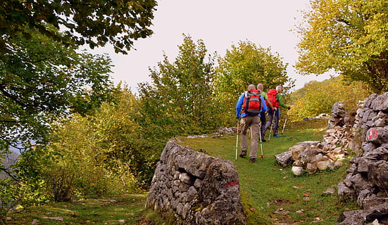 escursione, foresta, autunno, pista, camminando con bastoni, montagna, il percorso europeo, e5, Lessinia, Italia, attività di svago, albero, pianta, adulto, lunghezza intera, attività, stili di vita, solidarieta, uomini, donne, giovane adulto, avventura, natura, solido, uno stile di vita sano, giovani donne, escursioni a piedi, amicizia, due persone, coppia - relazione, uomini maturi, 5K, CC0, dominio pubblico, privo di copyright