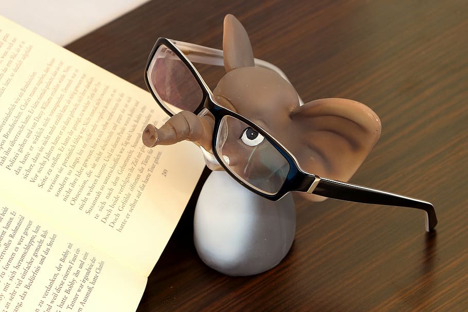 marró, blanc, figura de plàstic d’elefant, al costat, llibre, elefant, gots, ulleres de lectura, llegir, lents, marc d'ulleres, ulleres negres, ajuda a la lectura, agudesa visual, paper, taula, a l'interior, natura morta, publicació, cap gent, educació, material de fusta, text, primer pla, obert, ulleres, estri de cuina, vista d’angle alt, representació, figureta, pàgina, música, menjar i beguda, estudiar, 4K