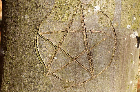 stella, inciso, tronco d'albero, pentacolo, paganisch, simbolo, albero di eingeritzter, albero, abbaiare, ceppo, vicino, pentagramma, stella a cinque punte, corteccia di albero, strutturato, avvicinamento, nessuno, mestiere, fotogramma intero, a forma di cuore, sfondi, arte e artigianato, giorno, Marrone, legno - materiale, ruvido, natura, creatività, forma, pianta, tronco, modello, all'aperto, 2K, CC0, dominio pubblico, privo di copyright