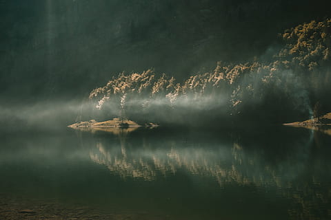 mělký, zaostřovací fotografie, tělo, voda, obklopen, stromy, zahájit požár, odraz, jezero, les, mlha, Příroda, krajina, venku, scén, temný, krása v přírodě, mrak - nebe, klidné scény, letní, nebe, nikdo, klid, nábřeží, strom, scenics - příroda, rostlina, mimoměstské scény, den, stojatá voda, 4K, CC0, veřejná doména, bez autorských práv