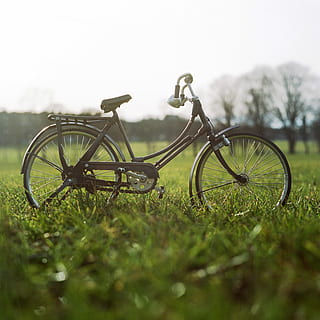 shallow, focus photography, brown, beach cruiser bicycle, grass field, shallow focus, photography, brown beach, beach cruiser, cruiser bicycle, grass, field, bicycle, outdoors, wheel, cycle, cycling, nature, transportation, summer, sport, selective focus, day, plant, land vehicle, land, no people, mode of transportation, green color, stationary, sky, growth, metal, environment, plain, 4K