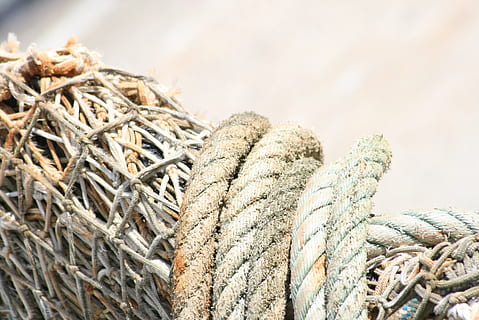 network, networking, integration, nature, wattle, experience, no people, rope, large group of objects, fishing, close-up, fishing industry, outdoors, day, stack, heap, pattern, backgrounds, strength, textured, industry, transportation, water, equipment, abundance, 2K, CC0, public domain, royalty free