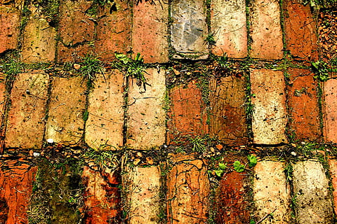 Struktur, Probe, Backstein, Natur, Vollbild, Hintergründe, keine Leute, Wandbau - Funktion, gebaute Struktur, texturiert, die Architektur, Wand, verwittert, Tag, Muster, Nahansicht, Pflanze, Ziegelwand, Wachstum, draußen, alt, Gebäudehülle, 4K, CC0, gemeinfrei, lizenzfrei