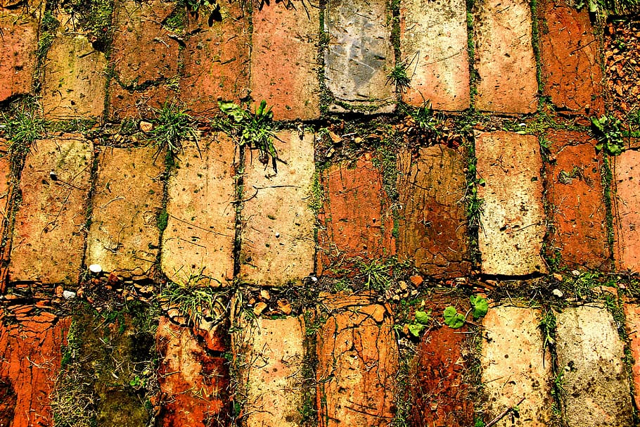 Struktur, Probe, Backstein, Natur, Vollbild, Hintergründe, keine Leute, Wandbau - Funktion, gebaute Struktur, texturiert, die Architektur, Wand, verwittert, Tag, Muster, Nahansicht, Pflanze, Ziegelwand, Wachstum, draußen, alt, Gebäudehülle, 4K