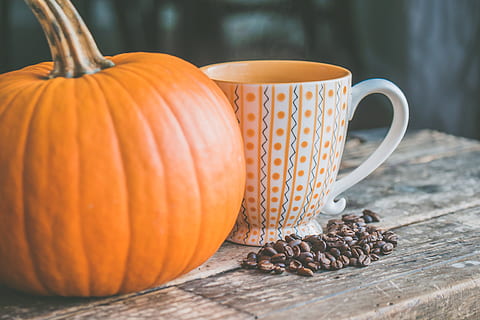 Orange, Kürbis, Weiß, Keramik, Becher, Saat, Hintergrund, Bohnen, Koffein, Nahansicht, Kaffee, Kaffeebohnen, Kaffeetasse, Kaffee trinken, Tasse, Tasse Kaffee, drinnen, rustikal, Tabelle, das Erntedankfest, Holz, hölzern, Essen und Trinken, Lebensmittel, Frische, orange Farbe, Getränk, Erfrischung, keine Leute, Stillleben, Holz - Material, Herbst, Fokus auf den Vordergrund, gesundes Essen, Geschirr, Teetasse, 4K, CC0, gemeinfrei, lizenzfrei