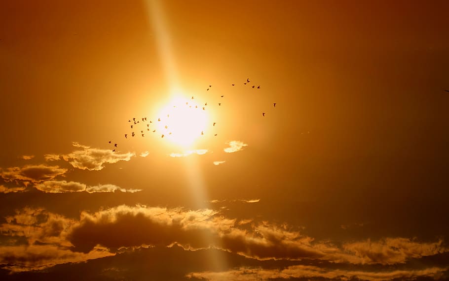 fotografia de silhueta, rebanho, passarinhos, por do sol, nuvem, Dom, céu, vermelho, raio de Sol, luz solar, natureza, ouro colorido, cor vibrante, ninguém, amarelo, origens, nuvem - céu, beleza na natureza, vôo, ar, idílico, scenics - natureza, cor laranja, temas animais, pássaro, tranquilidade, céu dramático, animal, grupo de animais, ao ar livre, bando de pássaros, 4K